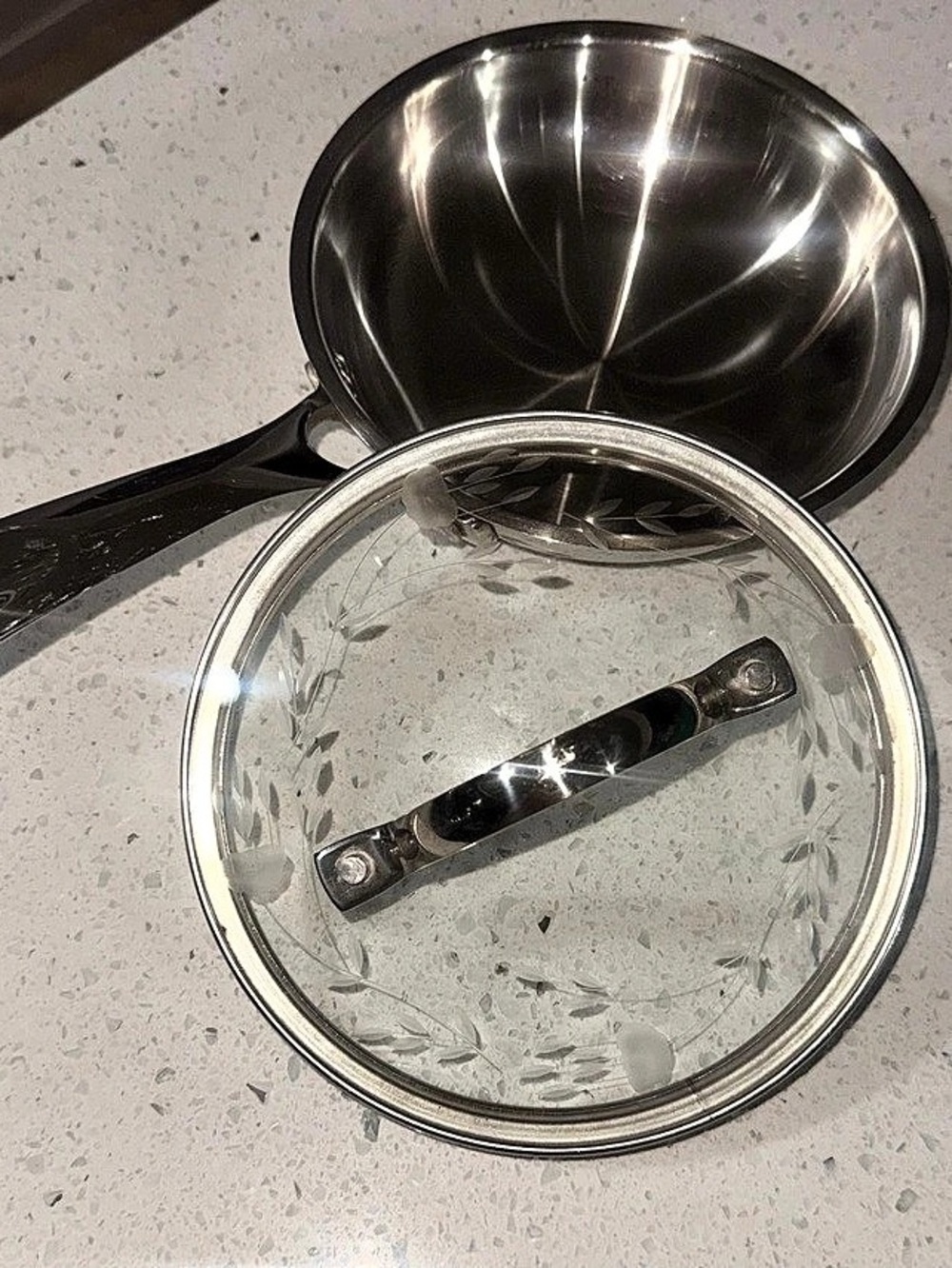 Princess House Heritage Stainless Steel Saucepan with Etched Glass Lid